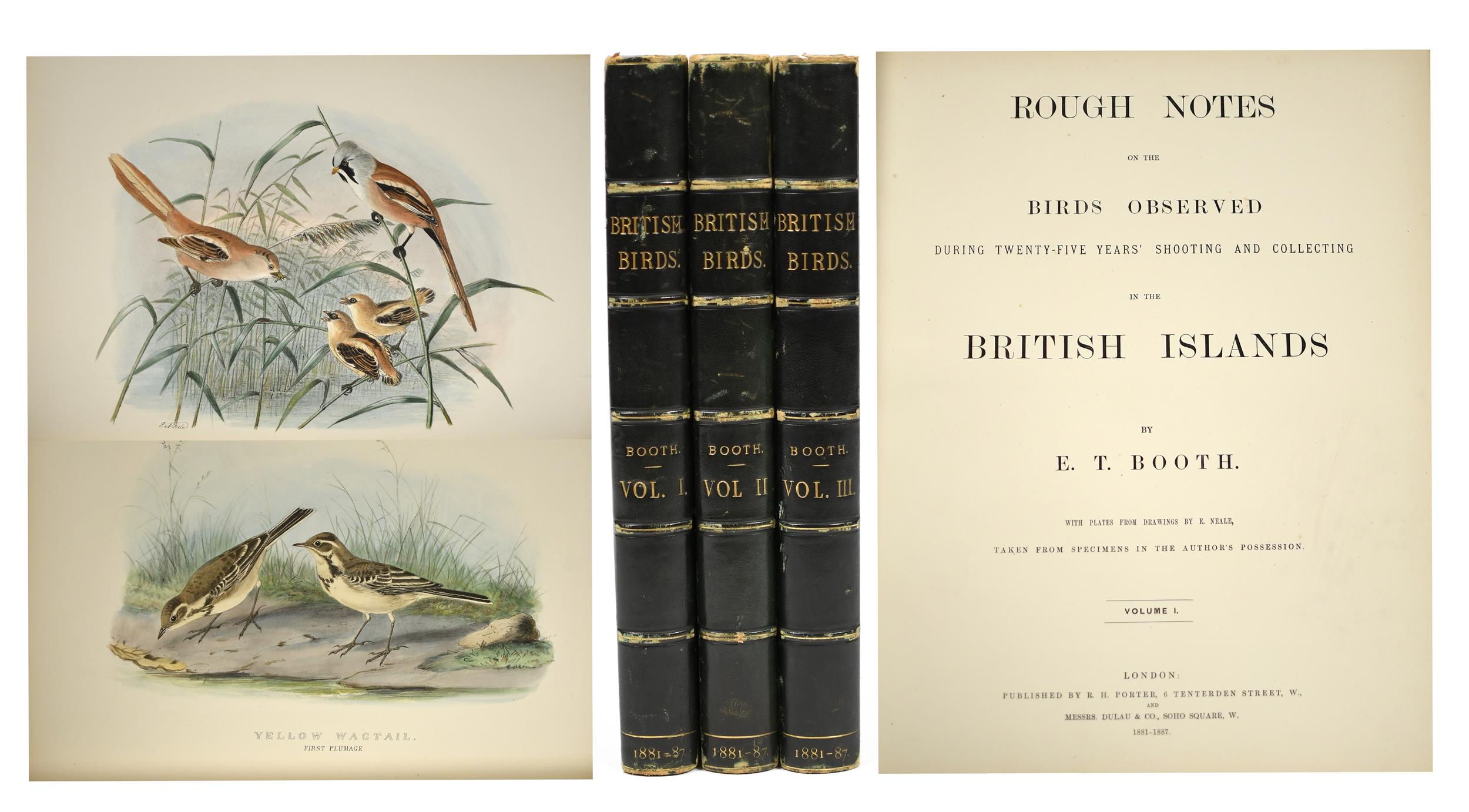 EDWARD THOMAS BOOTH, BRITISH BIRDS