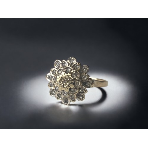 A 9ct gold ladies Diamond cluster ring.2.5g