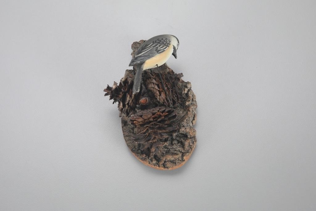 EXQUISITE MINIATURE CHICKADEE ON PINE