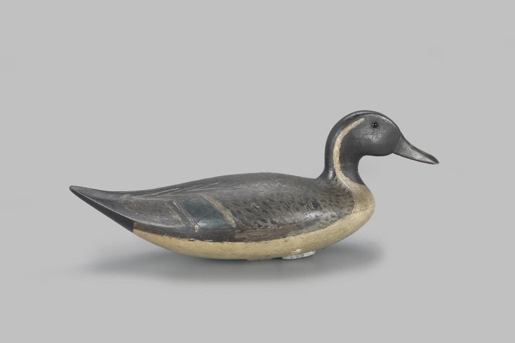 IMPORTANT PINTAIL DRAKEAndrew A.