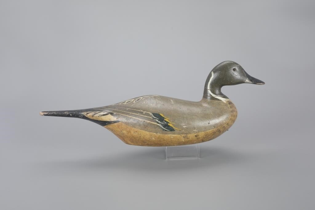 EARLY PINTAIL DRAKECharles Bergman (1856-1946)
Astoria,