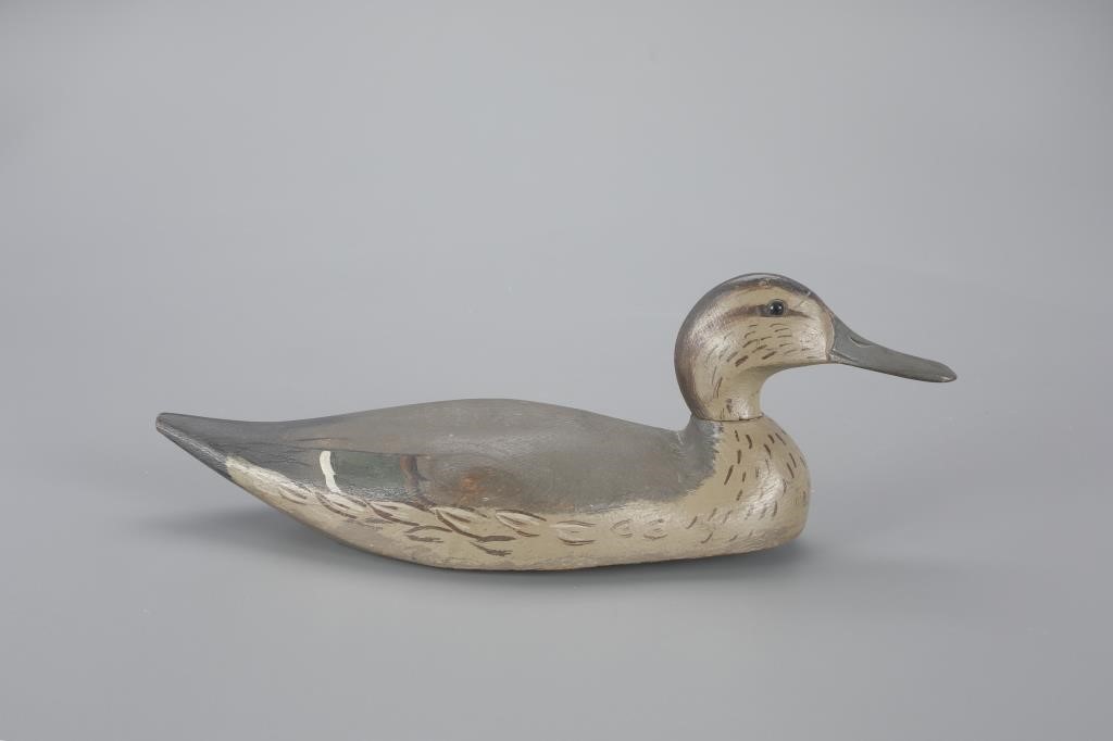 PINTAIL HENHorace Hi Crandall 3aecf8