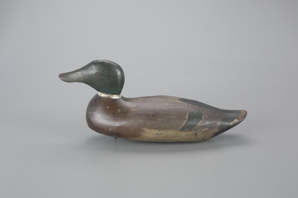 MALLARD DRAKETule Lake Decoy Co.
Sacramento,