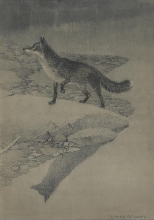 CHARLES GEORGE COPELAND (1858-1945)Fox,