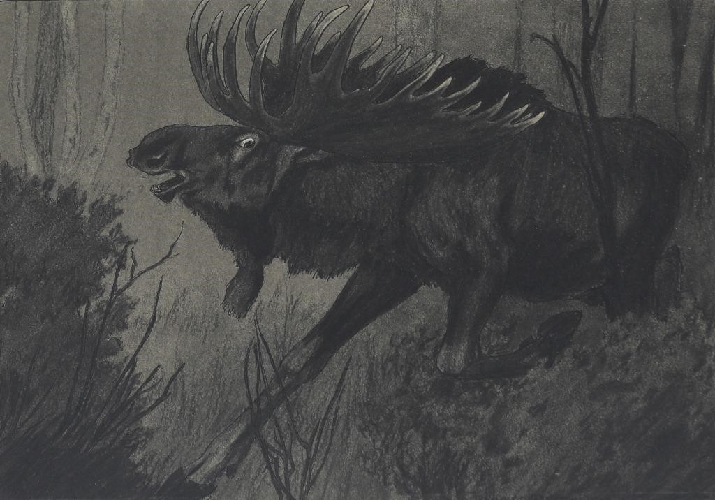 CHARLES LIVINGSTON BULL (1874-1932)Moose,