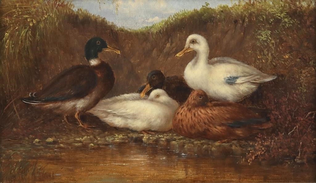 HOWARD HILL (D. 1870)Ducks

oil