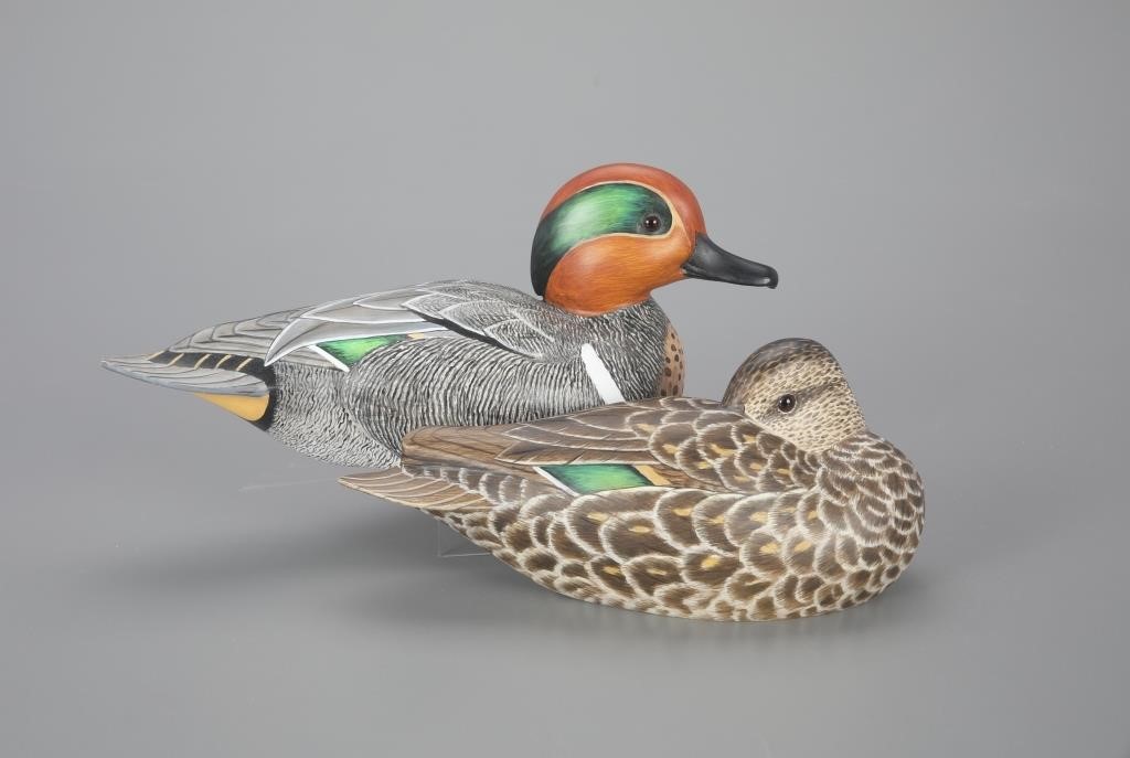 GREEN WINGED TEAL PAIRRobert G  3aed84