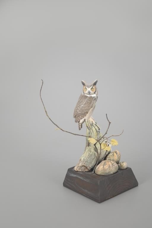 MINIATURE GREAT-HORNED OWLGary