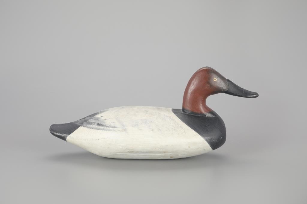 CANVASBACK DRAKEJames A. "Jim"