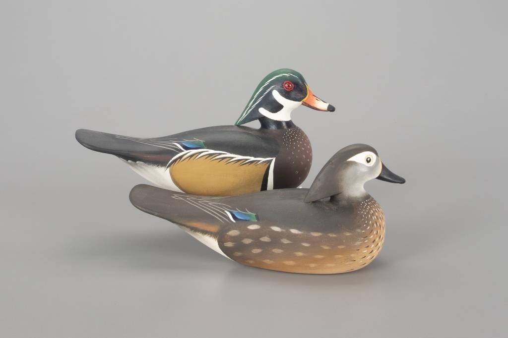 MINIATURE WOOD DUCKSCharlie "Speed"