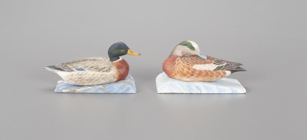 MINIATURE WIGEON AND MALLARDDavison