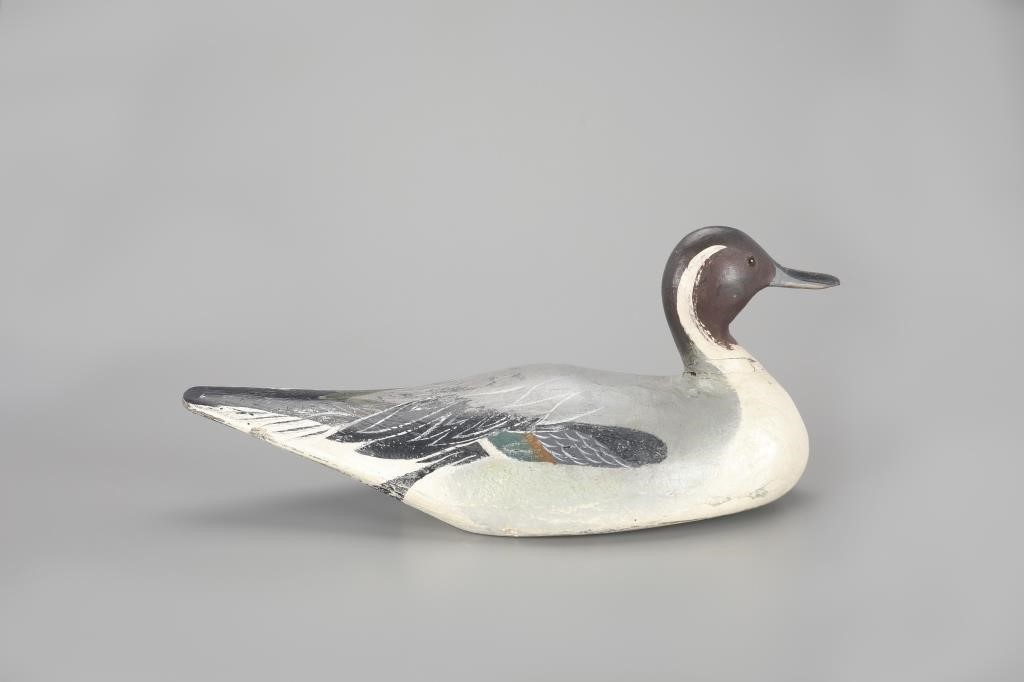 PINTAIL DRAKECrisfield, MD, c. 1930
19