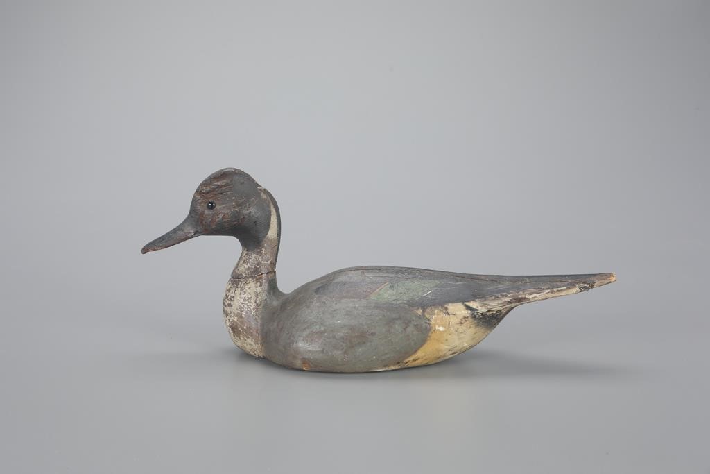 PINCH-BREAST PINTAIL DRAKEThe Ward Brothers
Lemuel