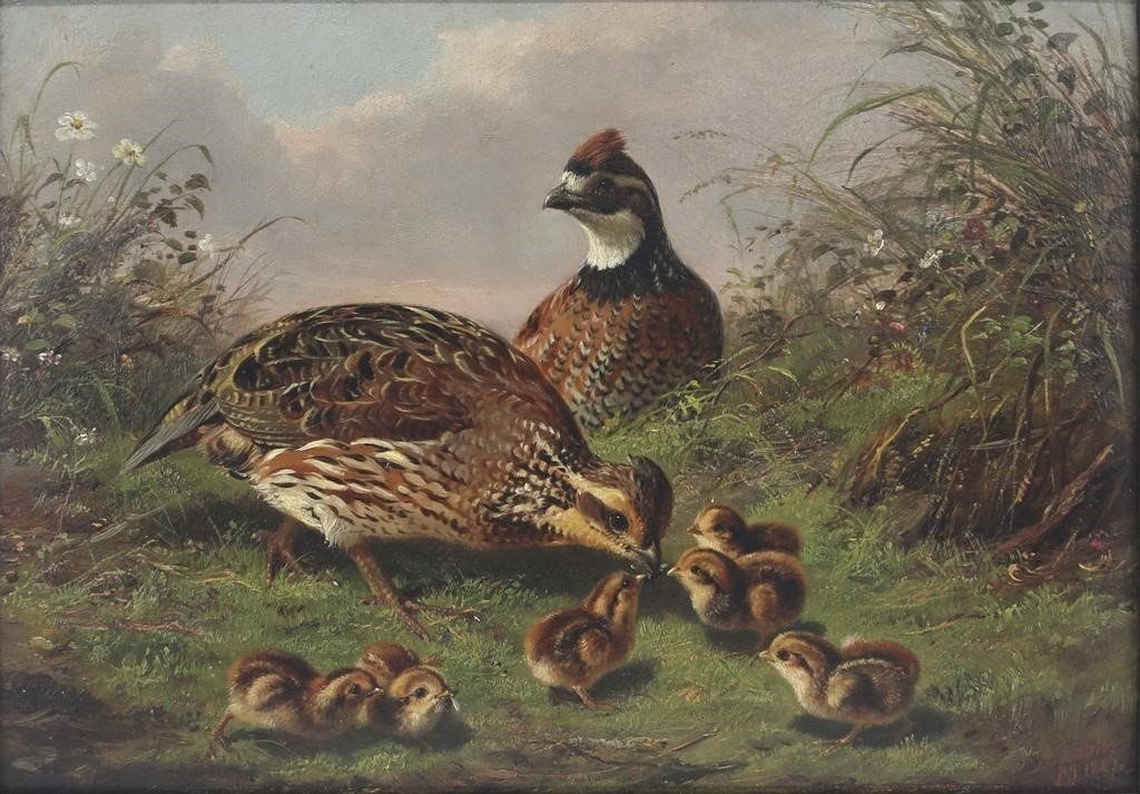 ARTHUR FITZWILLIAM TAIT 1819 1905 Quail 3aef3d