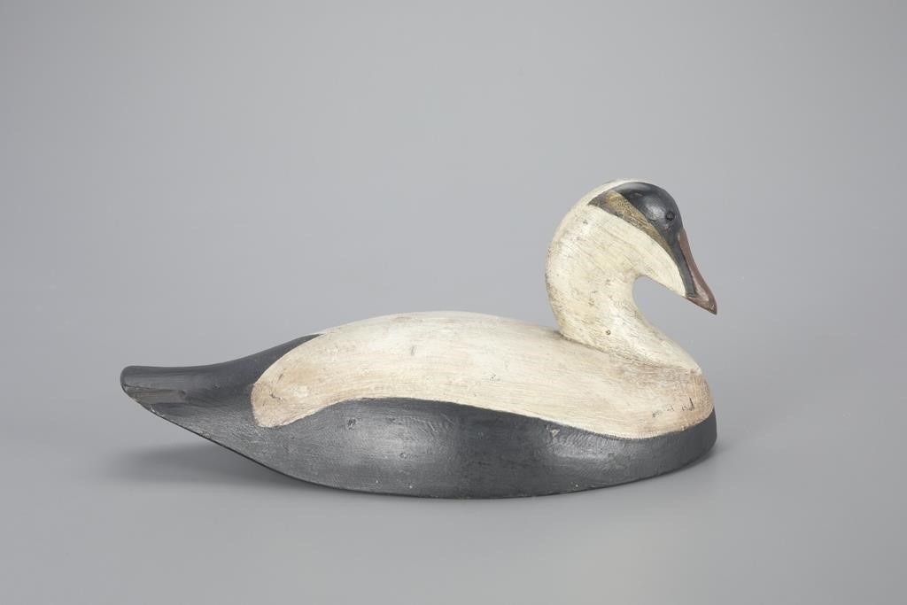 EIDER DRAKEJohn Zwicker 1849 1933 Grand 3aef53