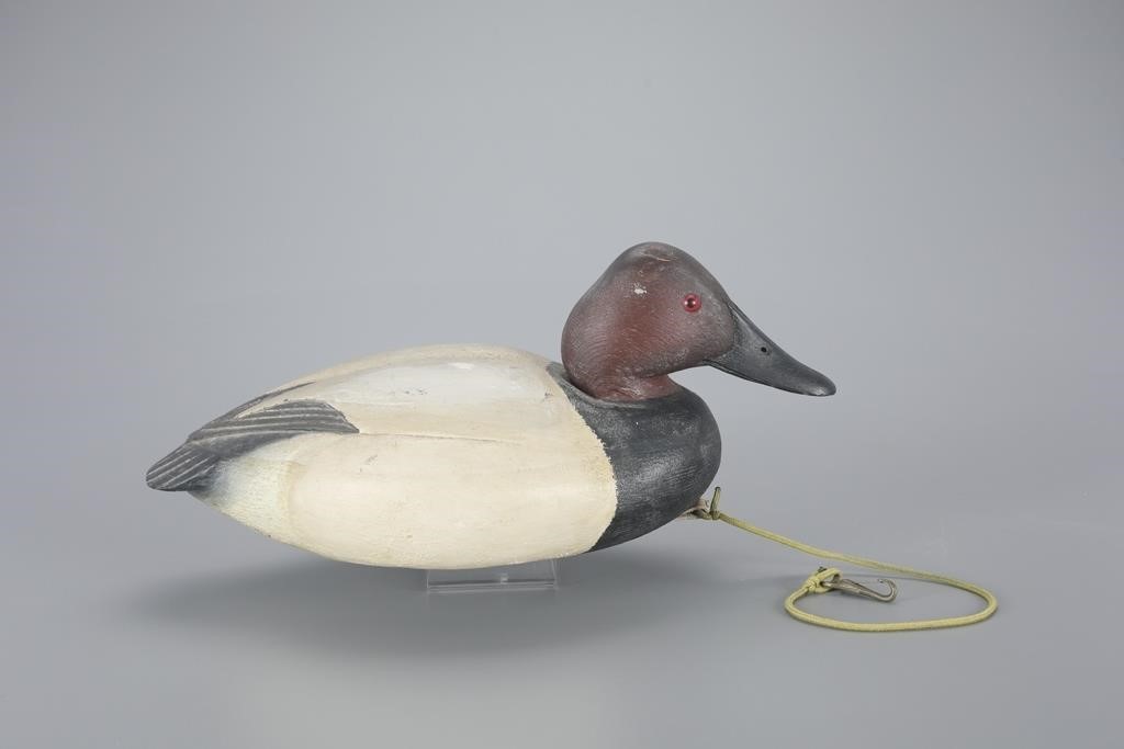 CANVASBACK DRAKEDonal C. O'Brien