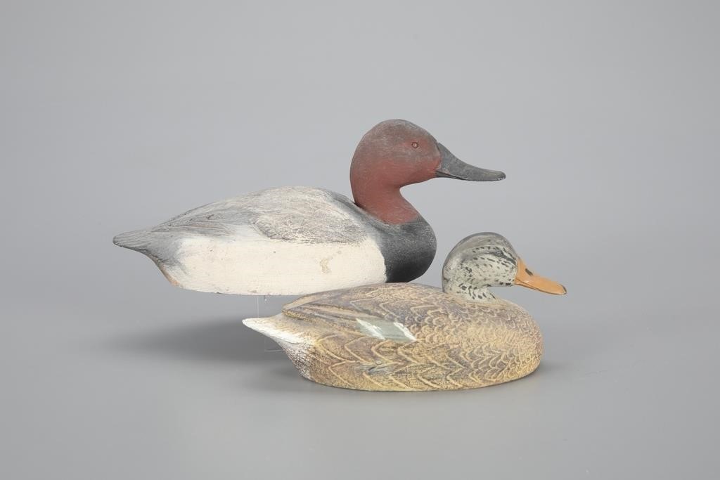 MINIATURE MALLARD HEN AND CANVASBACK