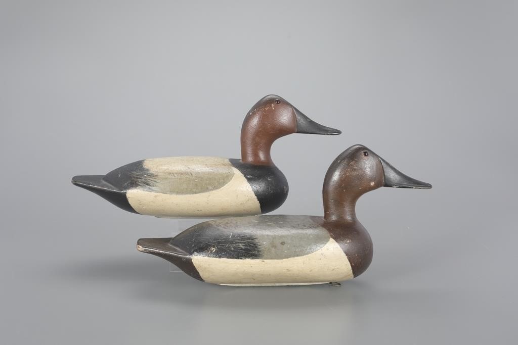 RARE CANVASBACK PAIRHiram "Hy"