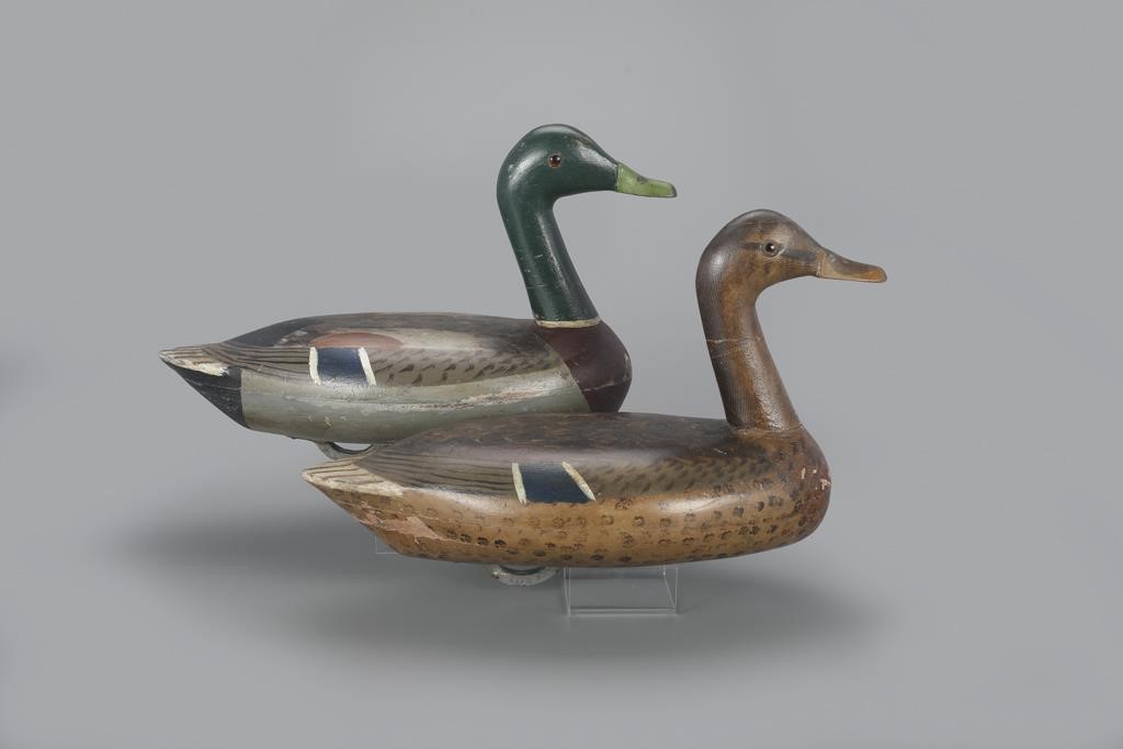 HIGH-HEAD MALLARD PAIRWalter Tube