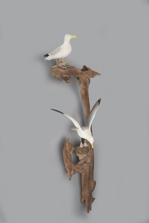 ONE-THIRD-SIZE GULL PAIR ON DRIFTWOODWendell