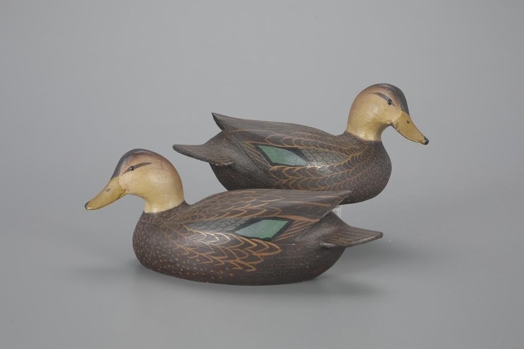 MINIATURE BLACK DUCK PAIRThe Ward 3aefe7