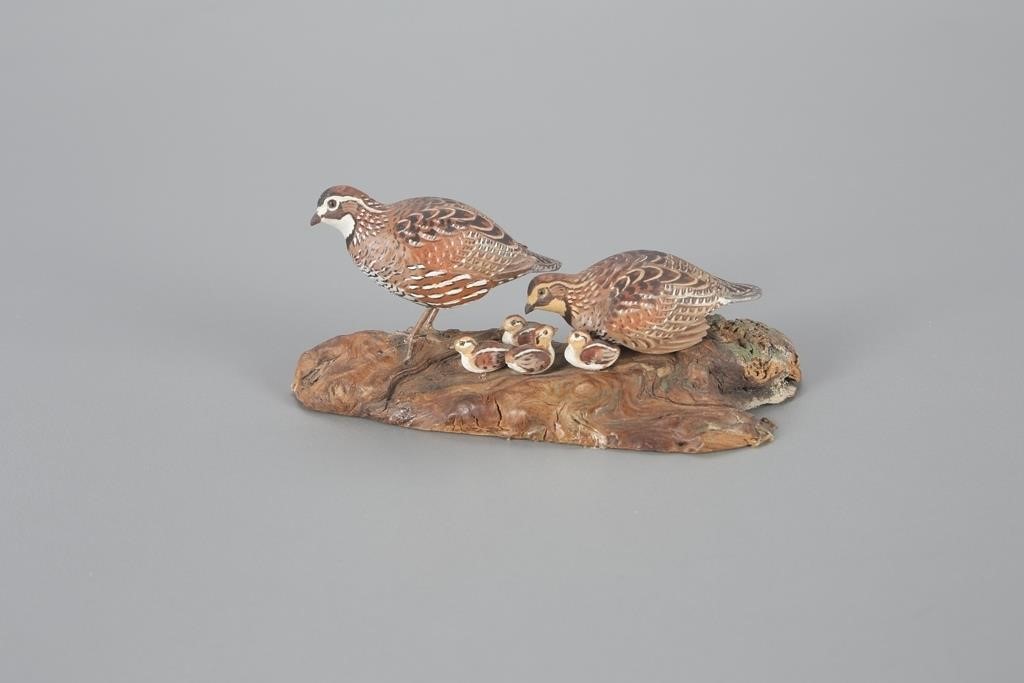 MINIATURE QUAIL FAMILYAllen J  3aefee