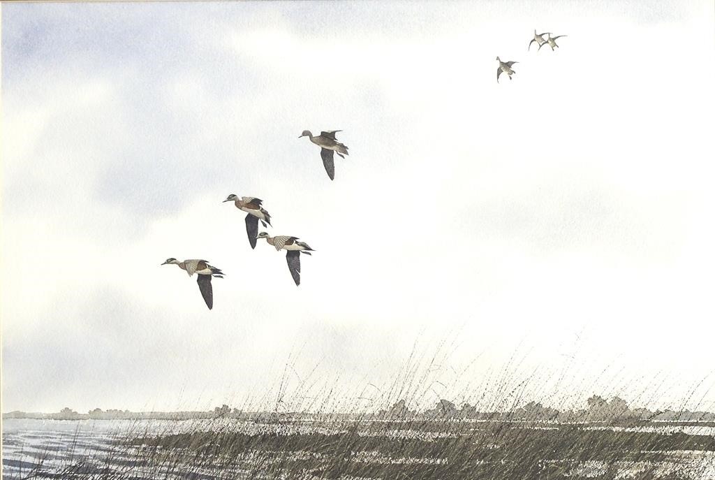 DAVID A. HAGERBAUMER (1921-2014)Flying