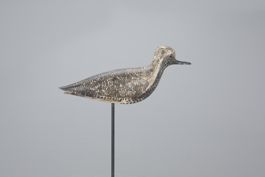 BLACK-BELLIED PLOVERGeorge H. Boyd