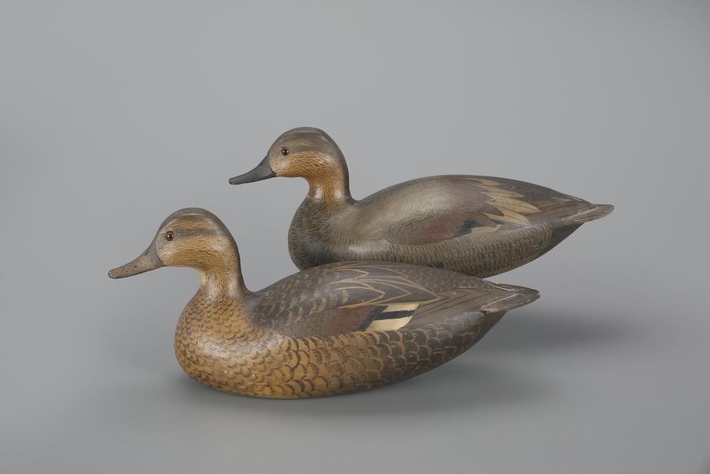 GADWALL PAIRD J Sullivan New 3af018