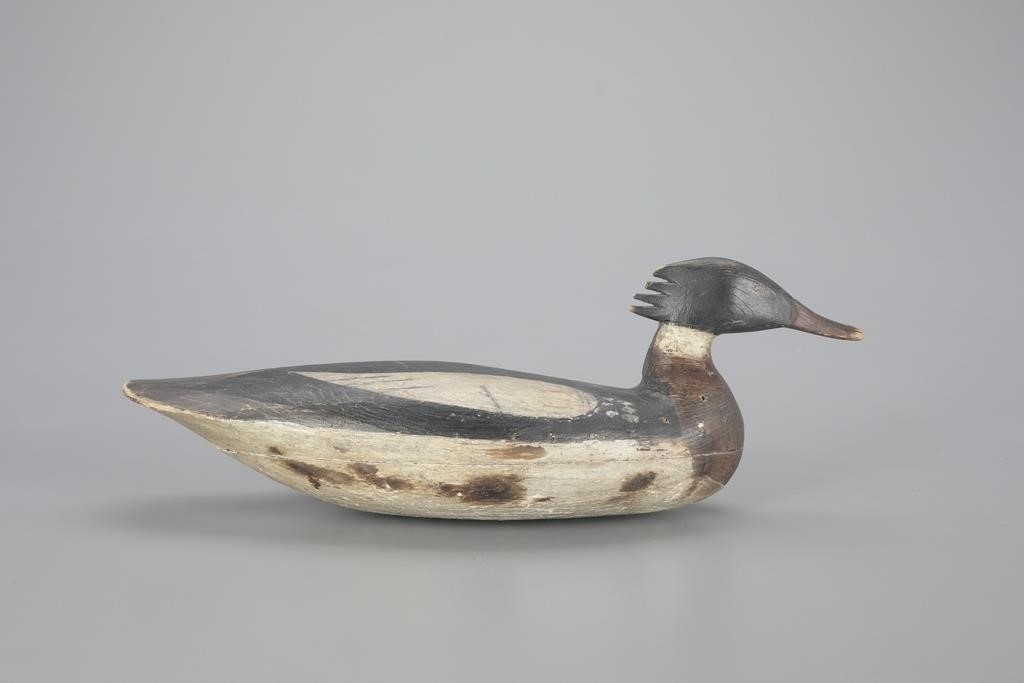 MERGANSER DRAKEA. Bradford Salmons (1864-1928)(attr.)
Stafforville,