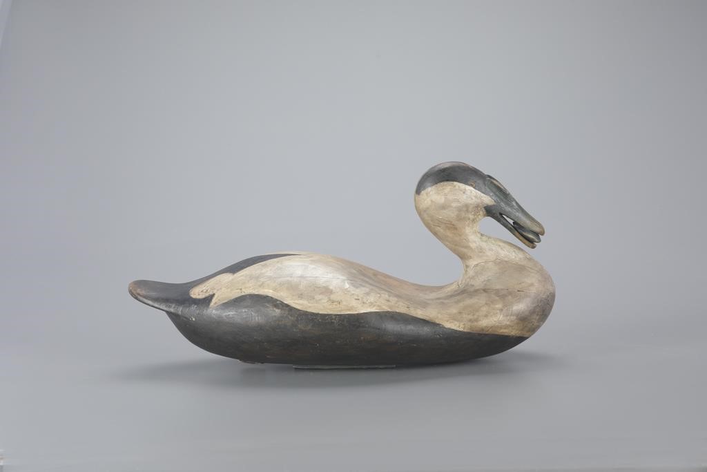 EIDER WITH MUSSELFrank S. Finney (b.