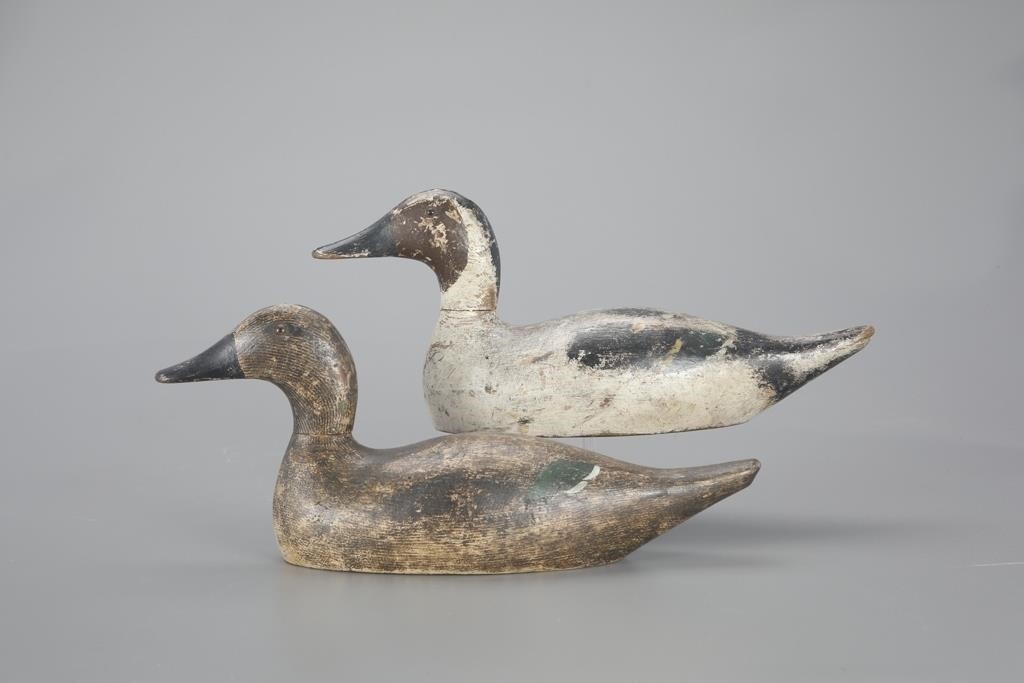 STANDARD-GRADE PINTAIL PAIREvans Duck