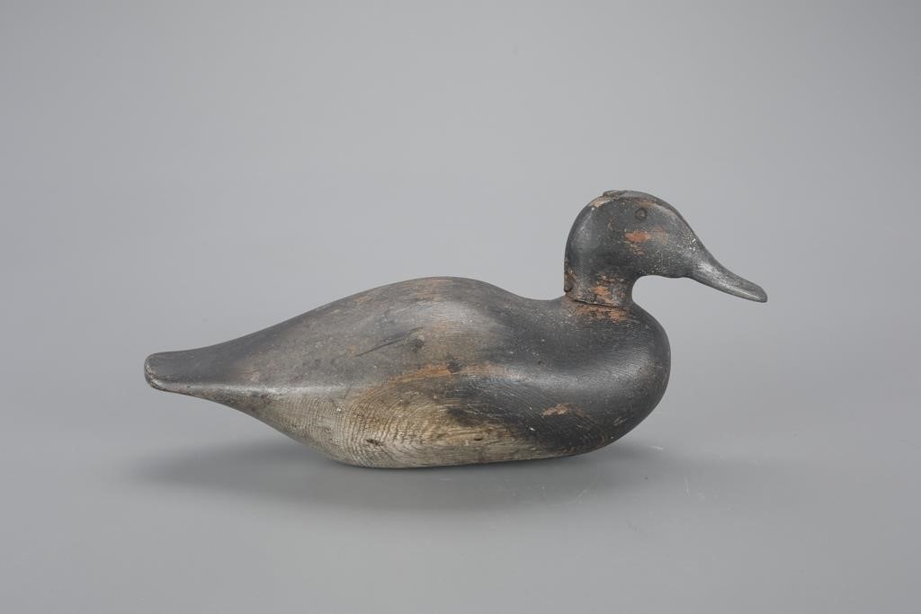 BLUEBILL DRAKEJasper N Dodge Decoy 3af070