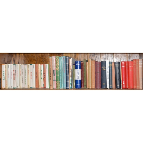 Books. Ten shelves of general stock, including