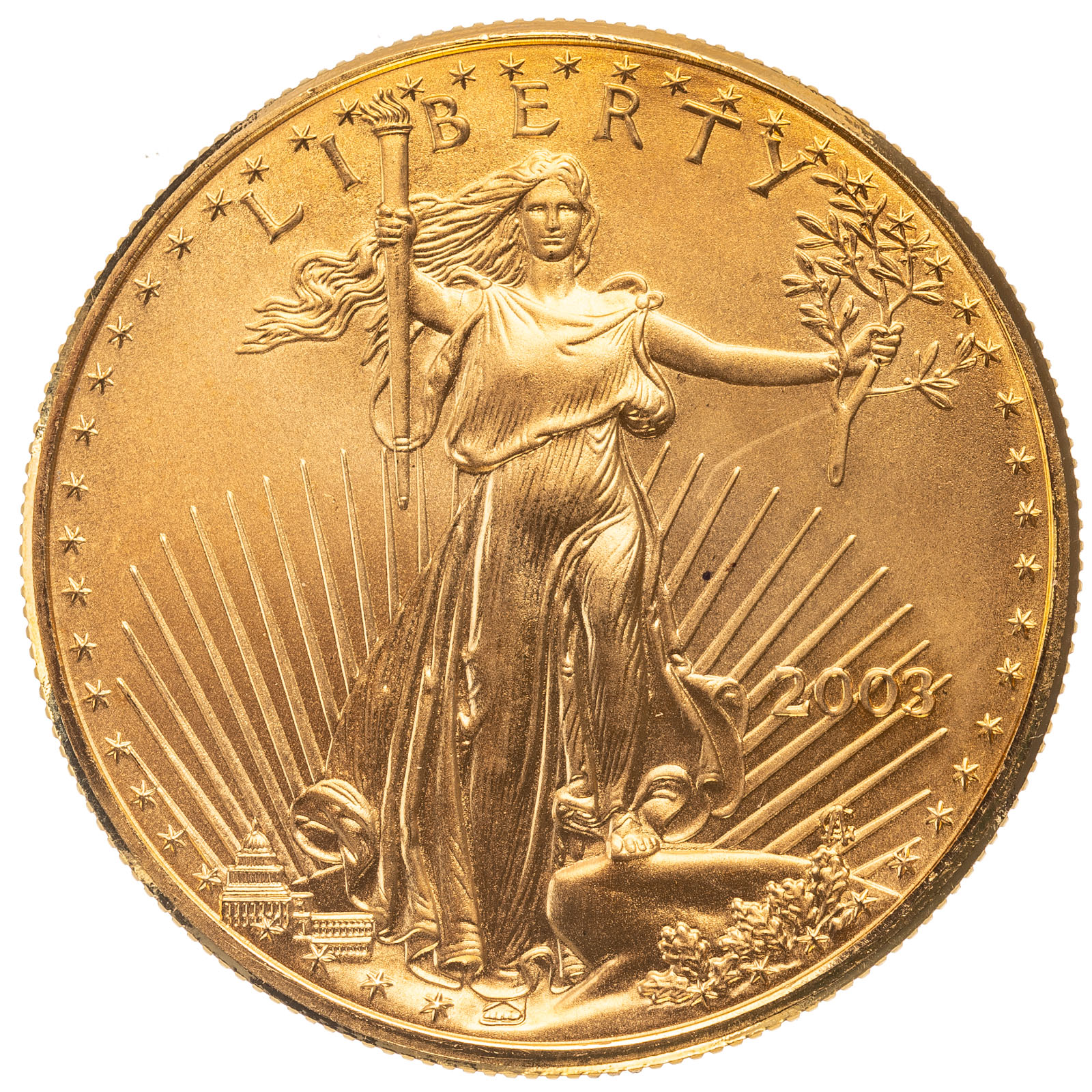2003 $50 1 OZ GOLD AMERICAN EAGLE