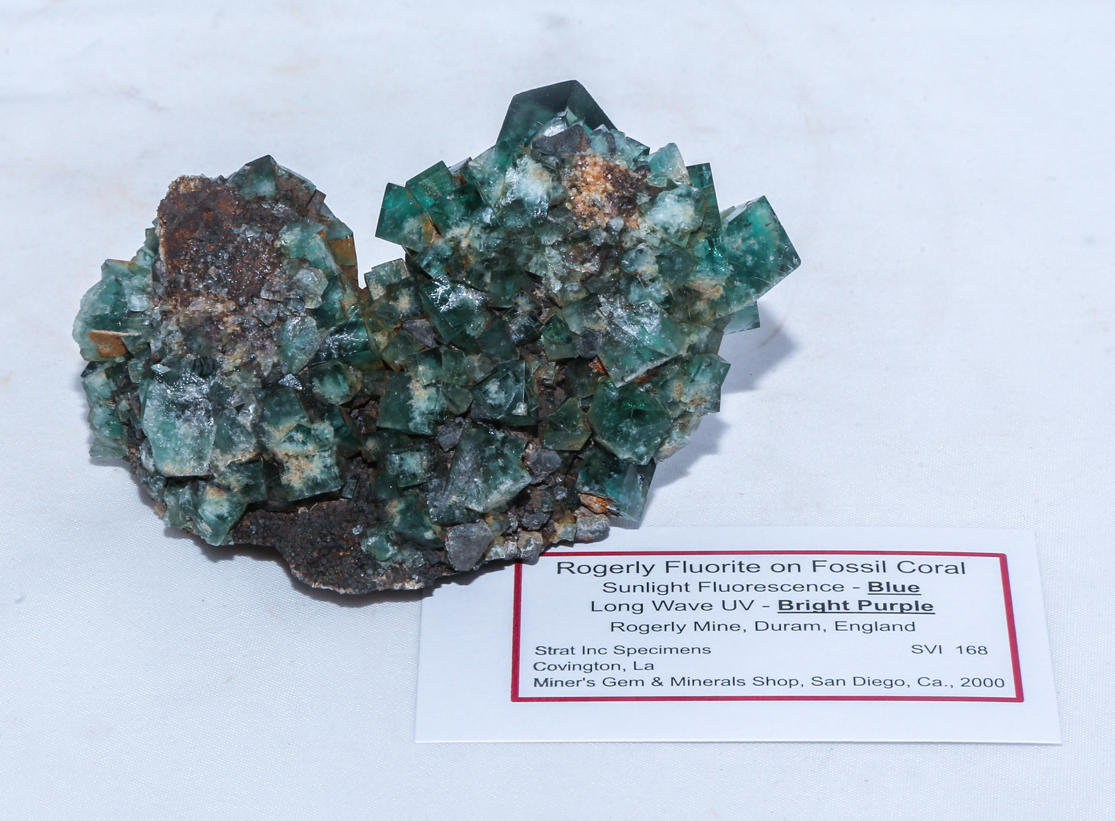 ROGERLEY FLUORITE MINERAL SPECIMEN 3b2a54