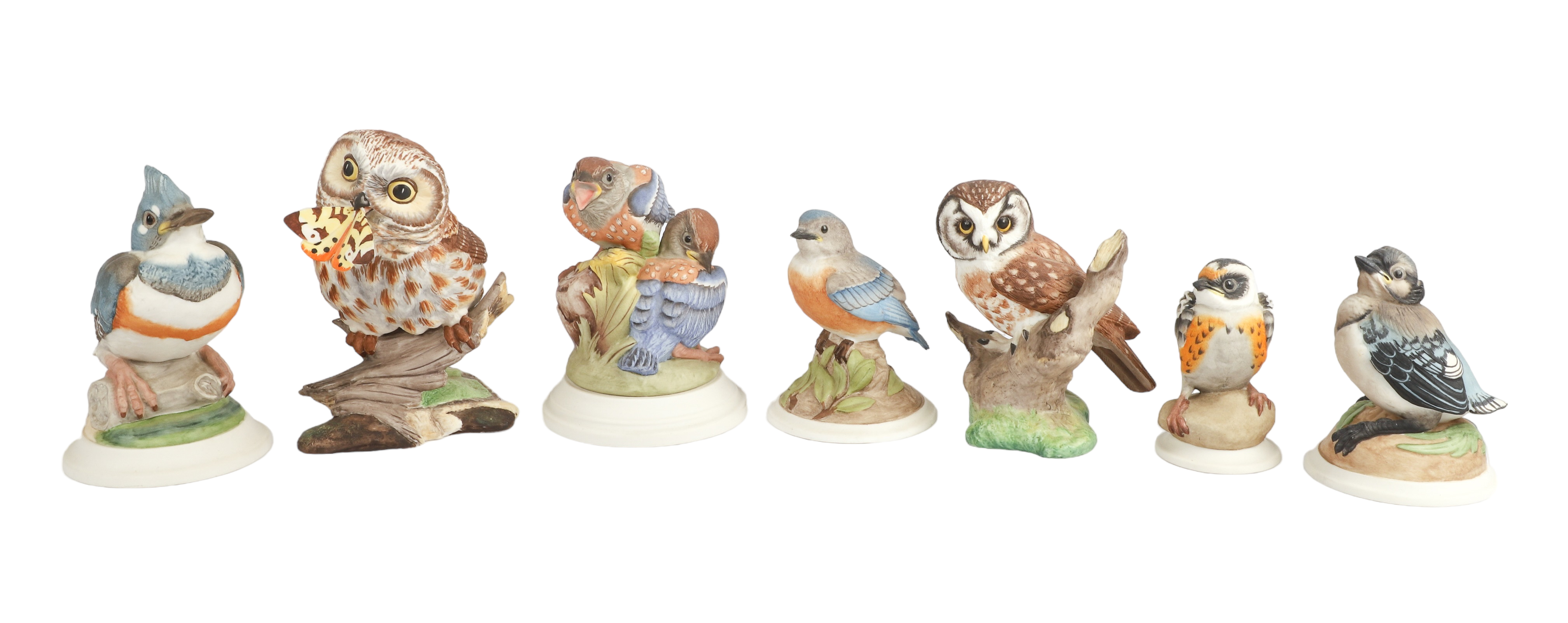 (7) Boehm porcelain birds to include