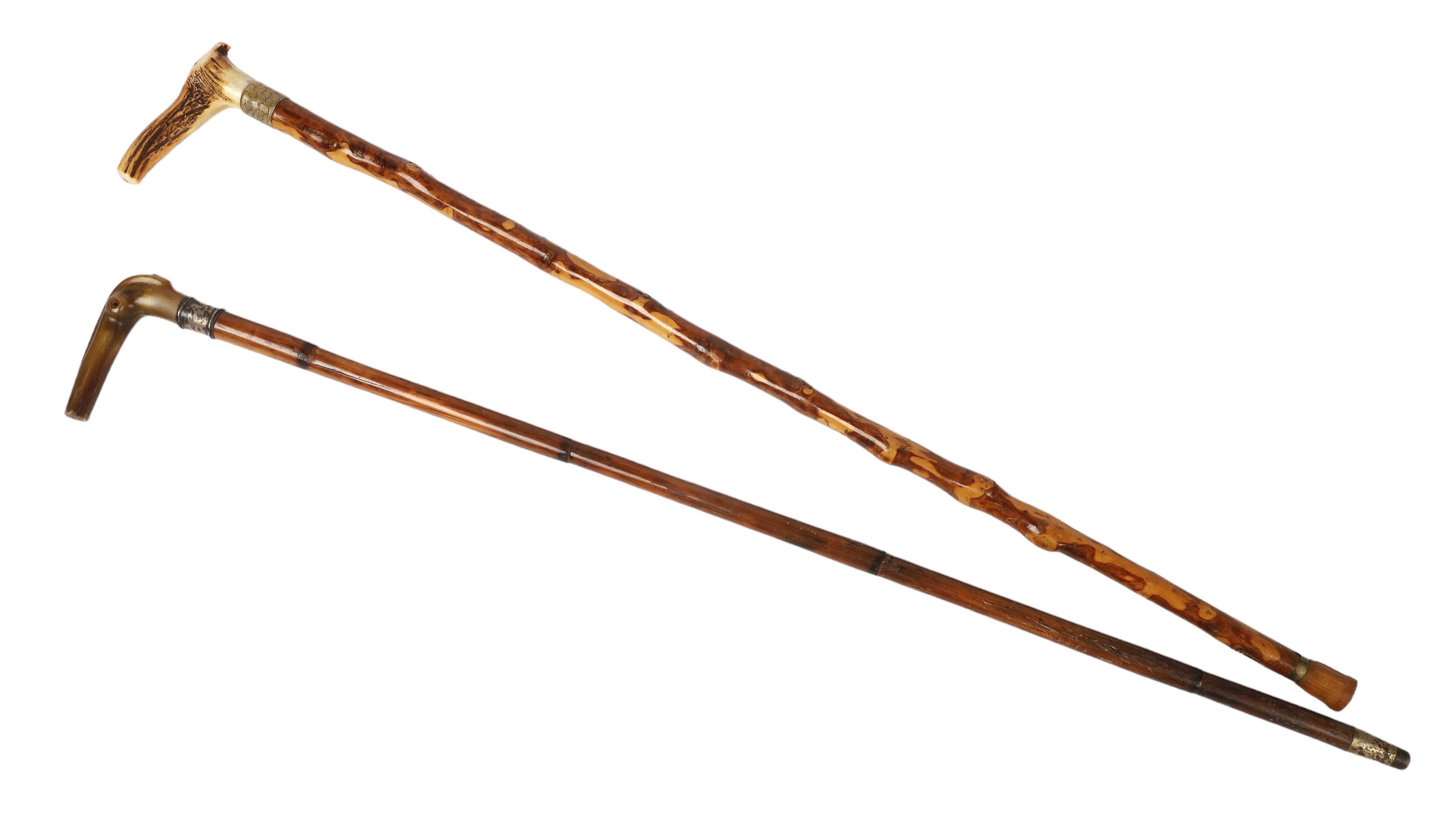  2 Twig walking stick canes c o 3b100a