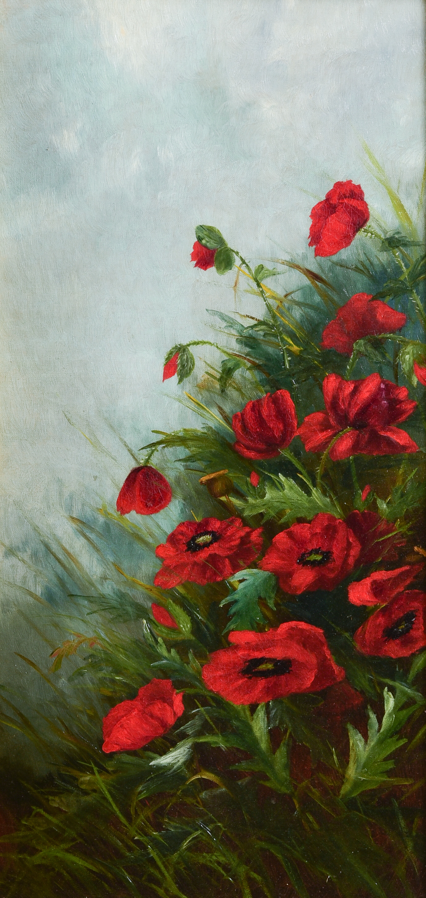 19th C painting of red poppies  3b1217