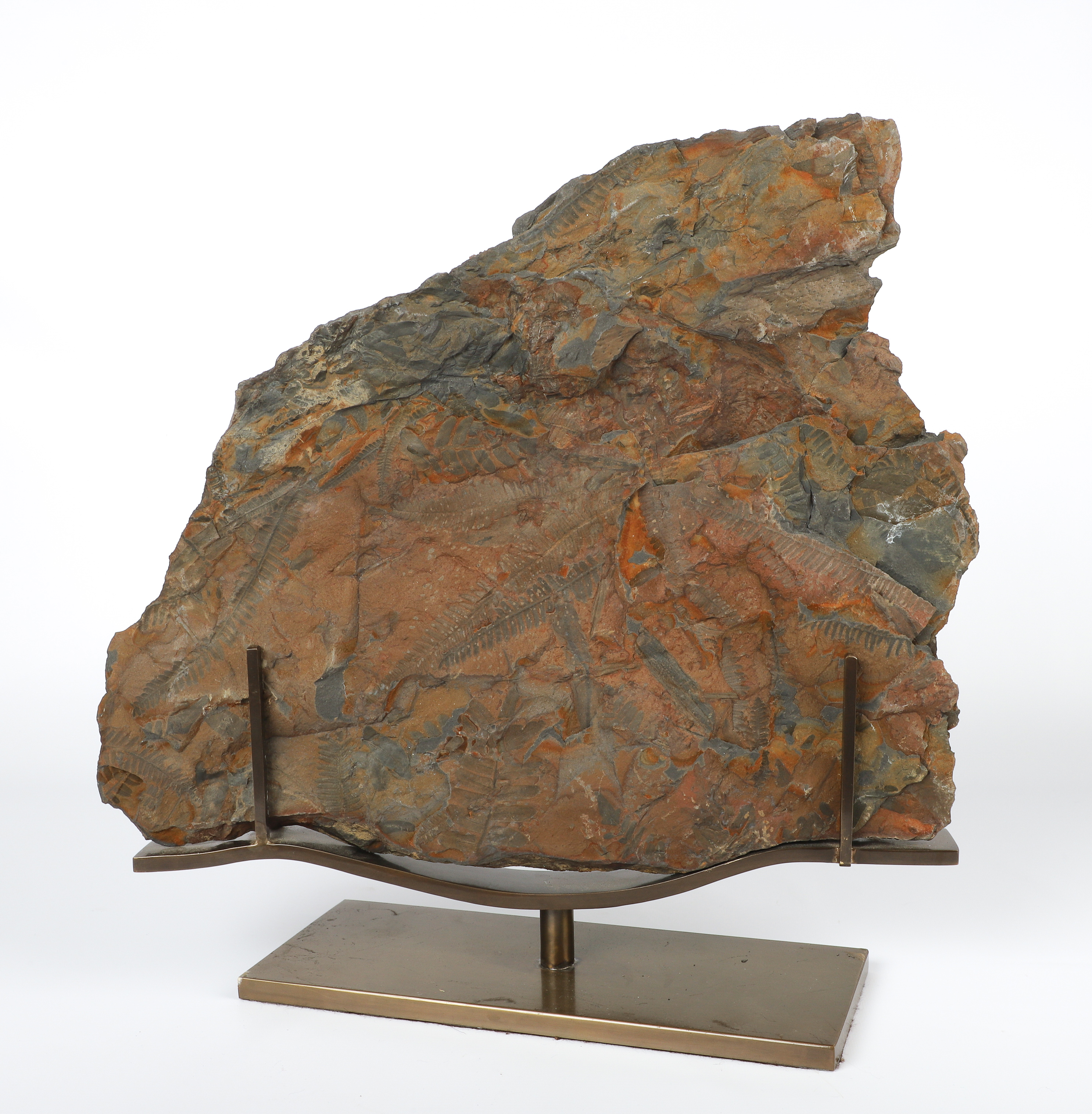 A Large fossil slab on stand, red-brown