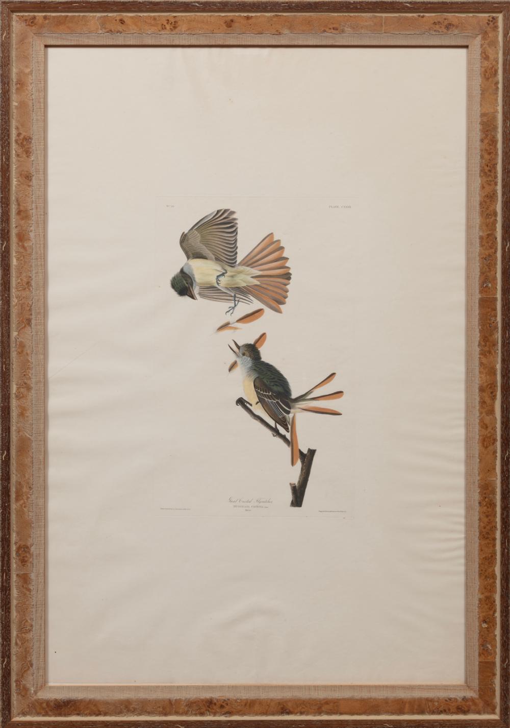 JOHN JAMES AUDUBON (AMERICAN, 1785-1851)John