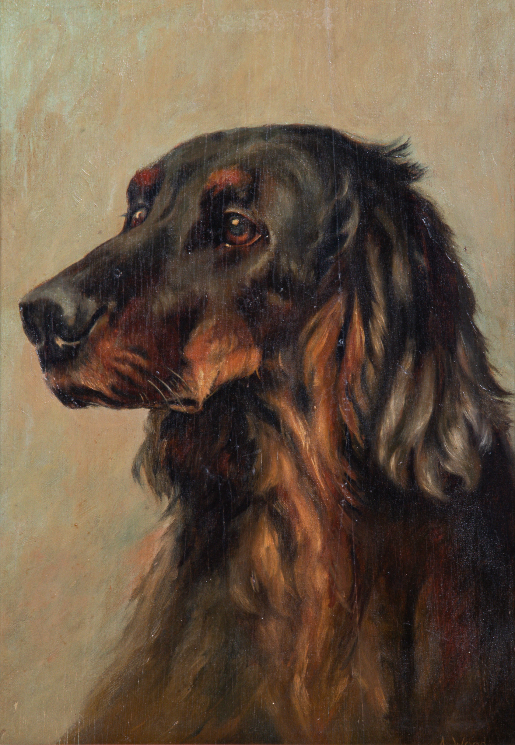 Portrait painting of a Gordon Setter,