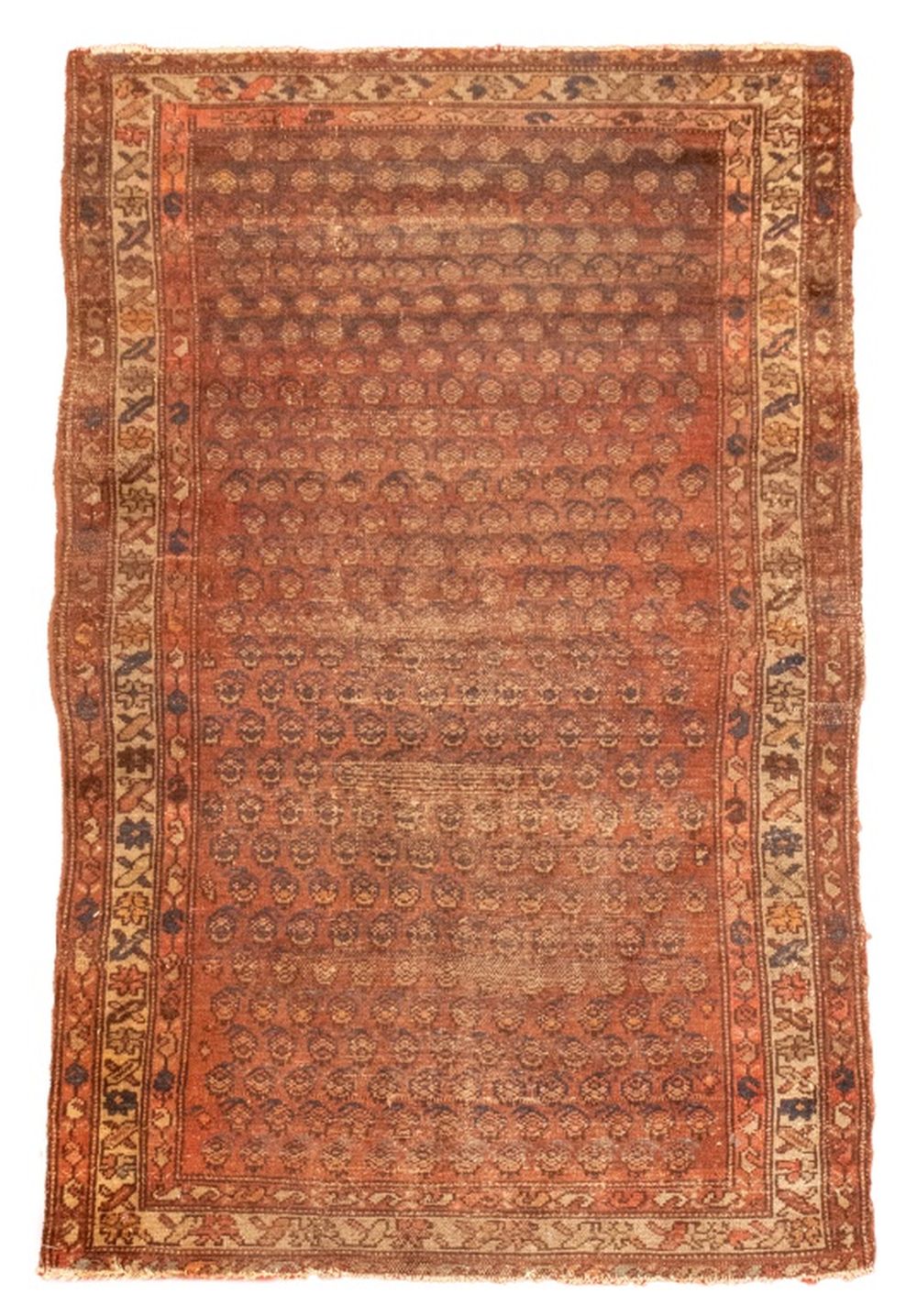 PERSIAN BOTEMIR RUG 5 3 L X 3b4d4d