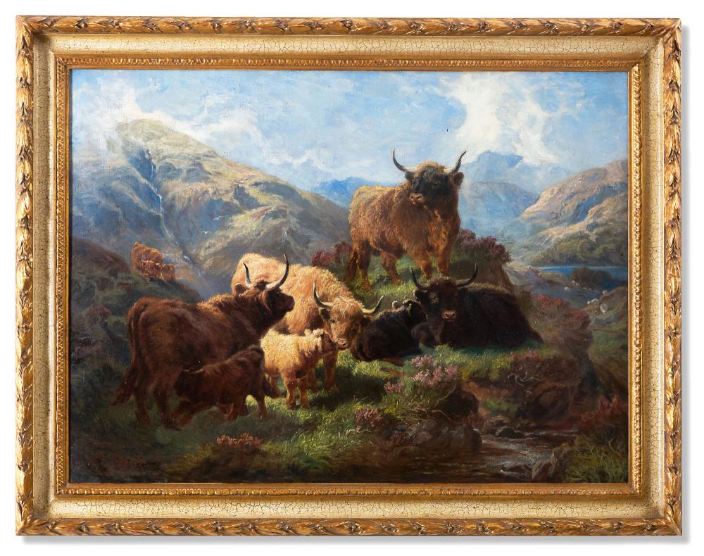 CONTINENTAL SCHOOL: COWS IN MOUNTAIN