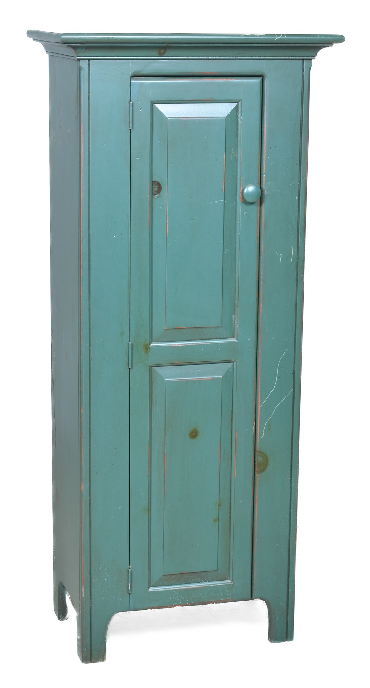 Pine painted single paneled door