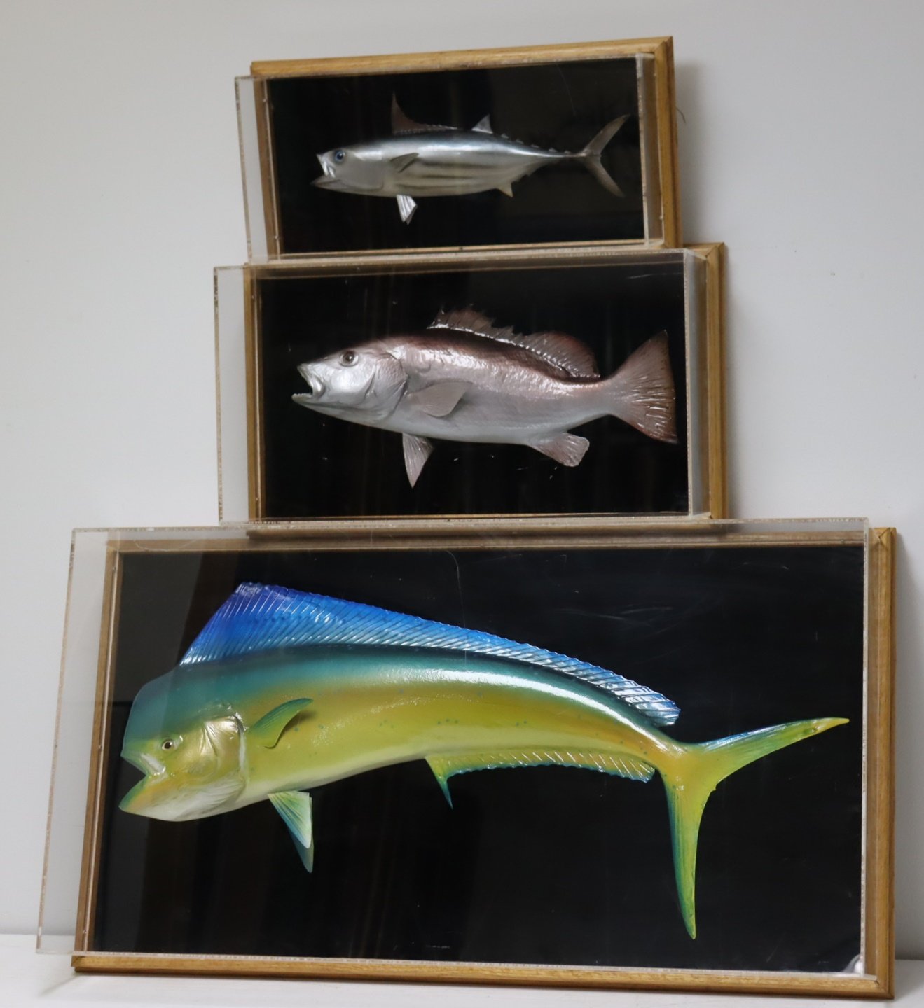 3 FAUX FISH MOUNTS IN SHADOW BOXES