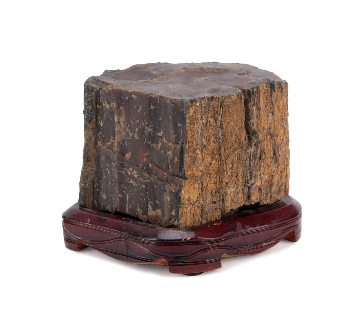 PETRIFIED WOOD SPECIMEN ON STAND