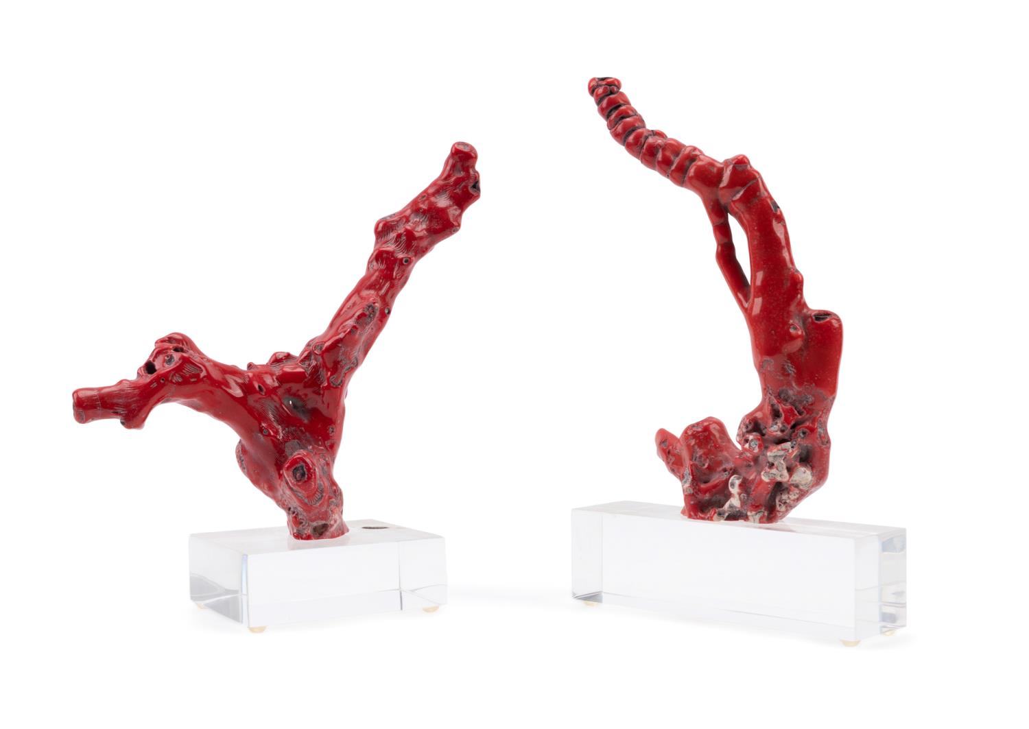 PAIR MOUNTED RED CORAL SPECIMENS