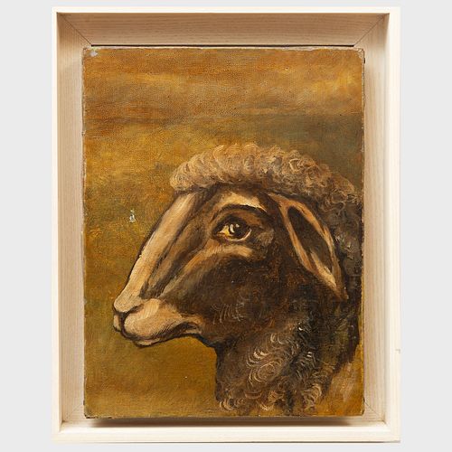 EUROPEAN SCHOOL: HEAD OF A SHEEPOil