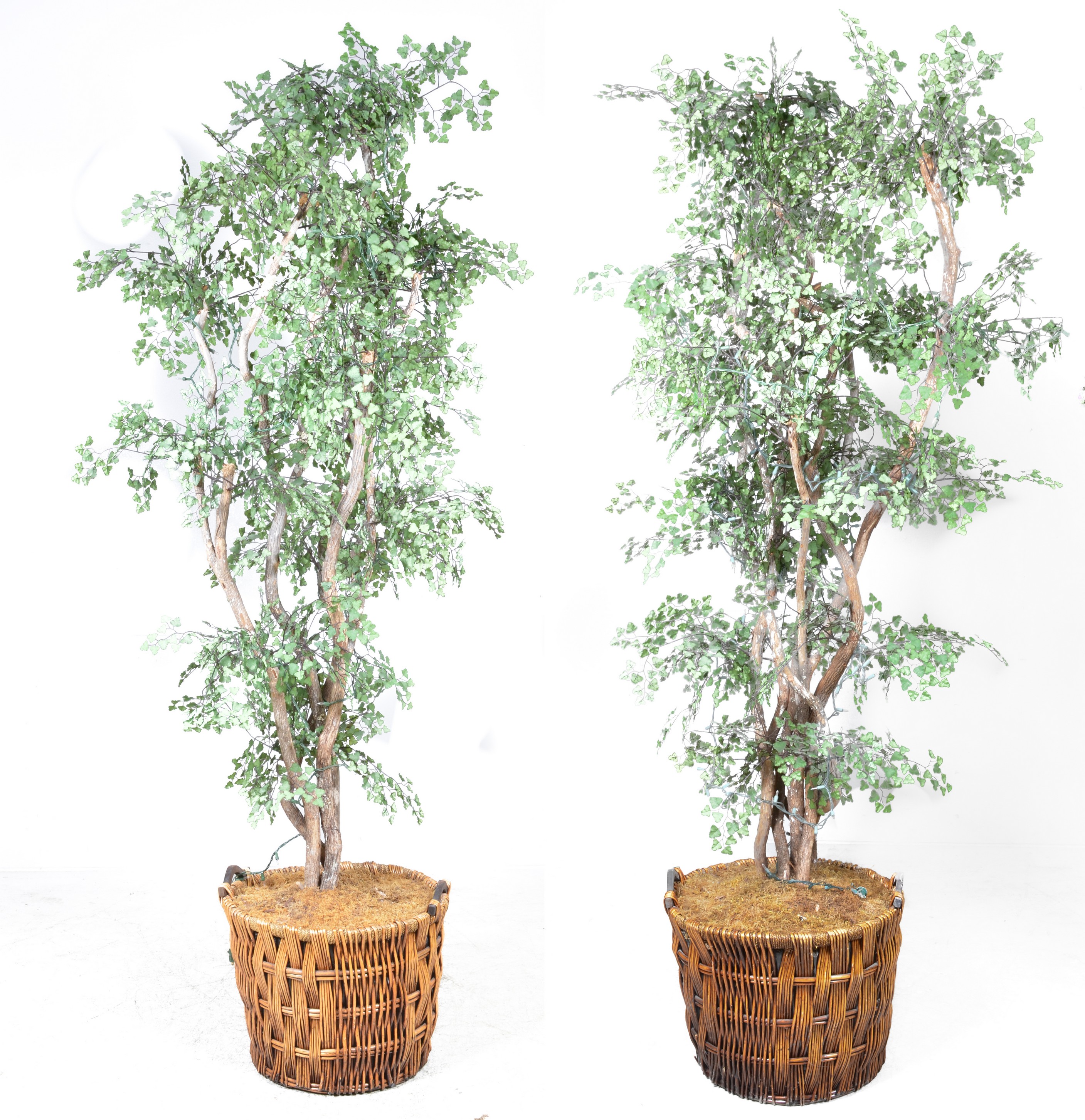 (2) Large fake trees in wicker planters,